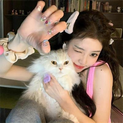 少女前线 人形小剧场