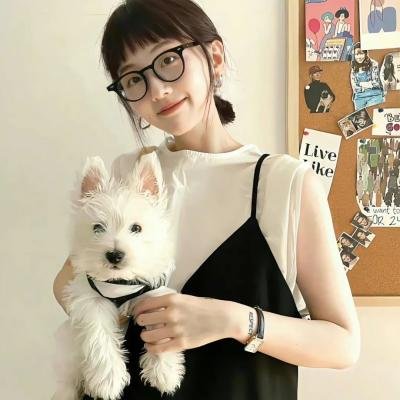两面间谍